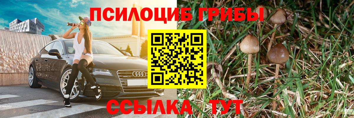 Псилоцибиновые грибы ЛСД  Псилоцибиновые грибы Cubensis  Вход с VPN  Железноводск 